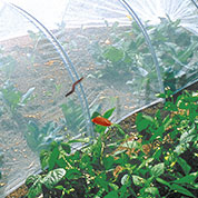 Rede anti-insectos para a horta – 2,2 x 10 m